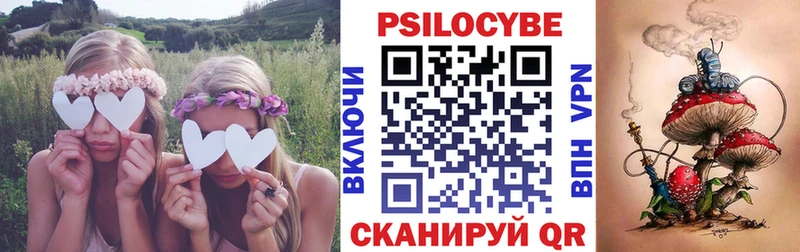продажа наркотиков  Вельск  Галлюциногенные грибы ЛСД 